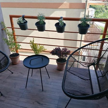Koko Apartman Vrnjačka Banja 外观 照片