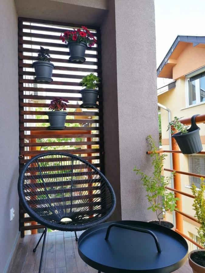Koko Apartman Vrnjačka Banja 外观 照片