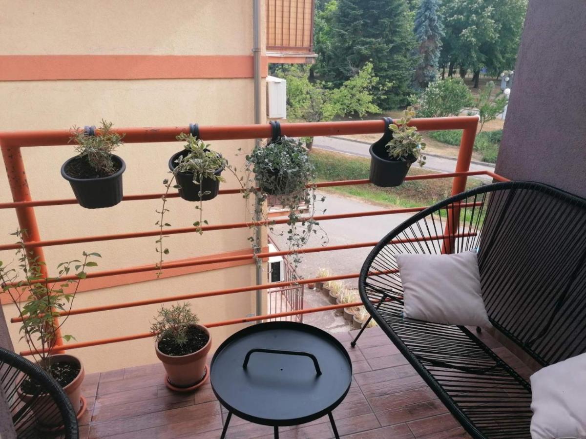 Koko Apartman Vrnjačka Banja 外观 照片
