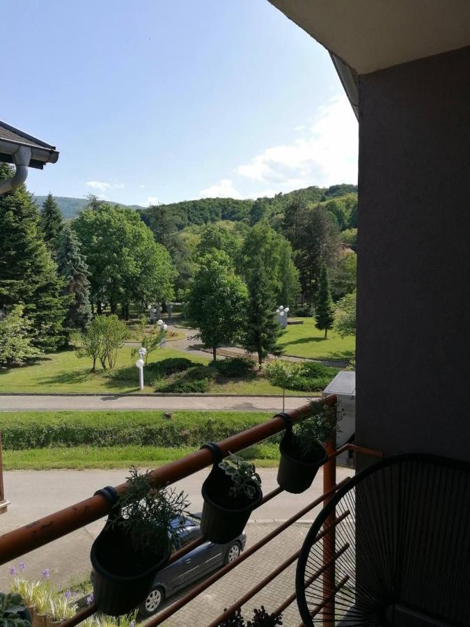 Koko Apartman Vrnjačka Banja 外观 照片