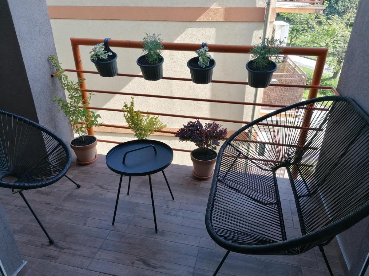 Koko Apartman Vrnjačka Banja 外观 照片
